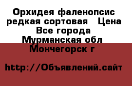 Орхидея фаленопсис редкая сортовая › Цена ­ 800 - Все города  »    . Мурманская обл.,Мончегорск г.